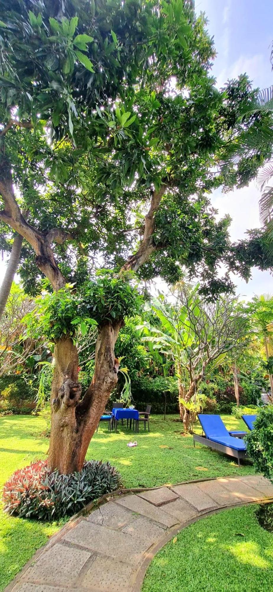 Holiday park Balinda & Lovina (Bali)